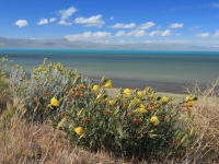 Jezero Argentino