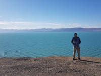 calafate3