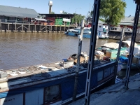 port eltigre1