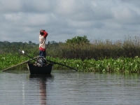 indo-borneo054