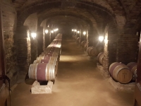 Cellar