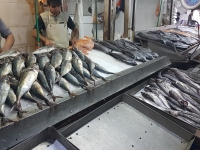 Santiago-fish-market