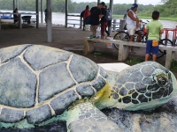 Tortuguero.2