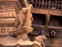 jaisalmer9