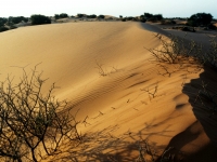 kalahari003