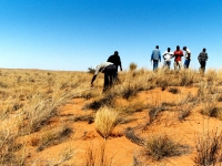 kalahari021