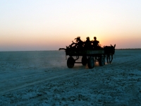 kalahari025