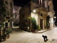 Night-street-south-Italy-town-1