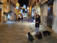 Tropea-at-night-2