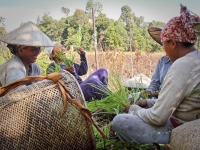 First Photovoices Pictures From West Kalimantan, Borneo