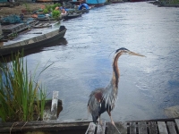 First Photovoices Pictures From West Kalimantan, Borneo