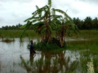 inhambane