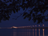 penang007
