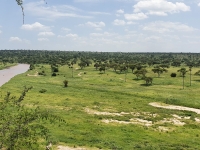 Nat park Tarangire 7