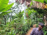 Path to Waterfall - near to Kilimanjaro