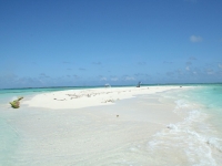 venezuela-losroques003