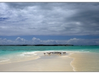 venezuela-losroques017