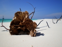 venezuela-losroques026