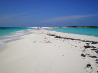 venezuela-losroques027