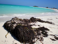 venezuela-losroques029