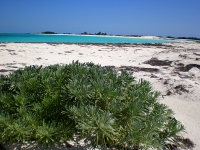 venezuela-losroques032