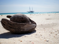 venezuela-losroques033