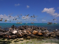 venezuela-losroques040