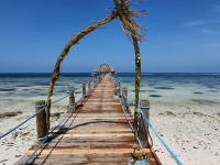 Beach - jetty