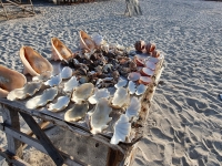 Beach mini market