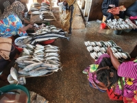 Stonetown centre - fish market 3