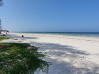 Zanzibar beach